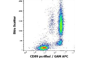 Flow cytometry surface staining pattern of human peripheral whole blood stained using anti-human CD89 (A59) purified antibody (concentration in sample 3 μg/mL) GAM APC. (FCAR antibody)