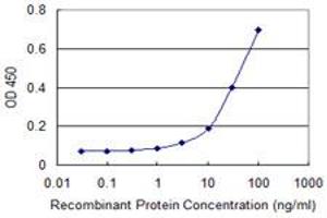 Detection limit for recombinant GST tagged CAP2 is approximately 10ng/ml as a capture antibody. (CAP2 antibody  (AA 1-477))