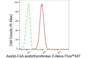Flow cytometric analysis of Acetyl-CoA acetyltransferase 2 expression in C2C12 cells using Acetyl-CoA acetyltransferase 2 antibody (ABIN7797440), 1:2,000). (Recombinant ACAT2 antibody)
