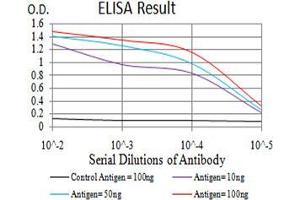 Black line: Control Antigen (100 ng),Purple line: Antigen (10 ng), Blue line: Antigen (50 ng), Red line:Antigen (100 ng) (Thrombospondin 1 antibody  (AA 750-850))