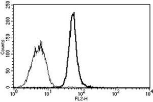 Flow Cytometry (FACS) image for anti-CD34 (CD34) antibody (PE) (ABIN1106309) (CD34 antibody  (PE))