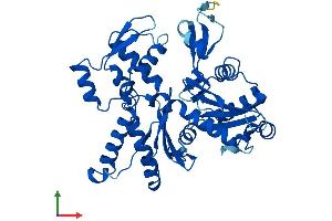 AlphaFold protein structure predicition of Mouse Recombinant Actr2 Protein, UniprotID P61161