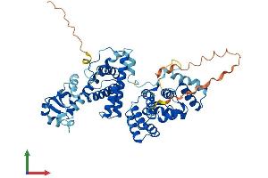 Protein Structure (PS) image for Primase, DNA, Polypeptide 2 (58kDa) (PRIM2) (AA 1-505) protein (His tag) (ABIN7563146)