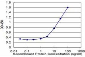 Detection limit for recombinant GST tagged NOLC1 is approximately 1ng/ml as a capture antibody. (NOLC1 antibody  (AA 590-699))