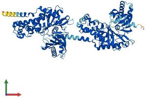 AlphaFold protein structure predicition of Mouse Recombinant Hkdc1 Protein, UniprotID Q91W97