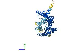 AlphaFold protein structure predicition of Human Recombinant OR14A2 Protein, UniprotID Q96R54 (OR14A2 Protein (AA 1-314) (His tag))