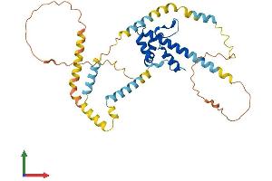AlphaFold protein structure predicition of Human Recombinant SYAP1 Protein, UniprotID Q96A49 (SYAP1 Protein (AA 1-352) (His tag))