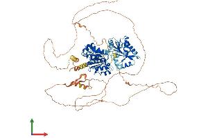 AlphaFold protein structure predicition of Human Recombinant DDX20 Protein, UniprotID Q9UHI6