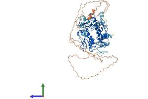 AlphaFold protein structure predicition of Human Recombinant ZNF875 Protein, UniprotID P10072