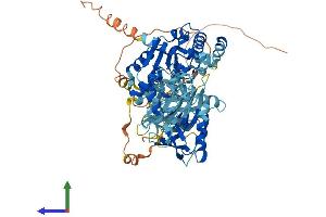 AlphaFold protein structure predicition of Mouse Recombinant Pif1 Protein, UniprotID Q80SX8 (PIF1 Protein (AA 1-650) (His tag))
