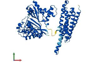 AlphaFold protein structure predicition of Mouse Recombinant Ftcd Protein, UniprotID Q91XD4 (FTCD Protein (AA 1-541) (His tag))