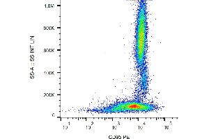 Flow cytometry analysis (surface staining) of human peripheral blood cells with anti-CD95 (LT95) PE. (FAS antibody  (PE))