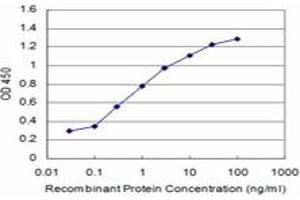 Detection limit for recombinant GST tagged NANOG is approximately 0. (Nanog antibody  (AA 98-195))