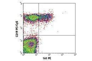 Flow Cytometry (FACS) image for anti-Tumor Necrosis Factor Receptor Superfamily, Member 13B (TNFRSF13B) antibody (PE) (ABIN2663249) (TACI antibody  (PE))