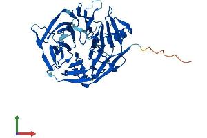 AlphaFold protein structure predicition of Mouse Recombinant Klhdc9 Protein, UniprotID Q3USL1