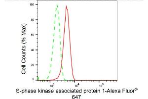 Flow cytometric analysis of S-phase kinase associated protein 1 expression in HeLa cells using S-phase kinase associated protein 1 antibody (ABIN7800267), 1:2,000). (Recombinant SKP1 antibody)
