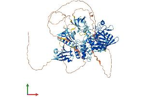 AlphaFold protein structure predicition of Human Recombinant PTPN3 Protein, UniprotID P26045
