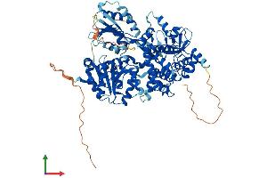 AlphaFold protein structure predicition of Mouse Recombinant Dhx32 Protein, UniprotID Q8BZS9 (DHX32 Protein (AA 1-744) (His tag))
