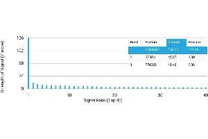 Protein Array (PAr) image for anti-Platelet Derived Growth Factor Receptor alpha (PDGFRA) antibody (ABIN7455972) (PDGFRA antibody)