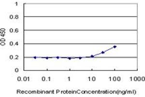 Detection limit for recombinant GST tagged HEYL is approximately 10ng/ml as a capture antibody. (HEYL antibody  (AA 221-327))