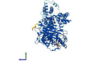 Protein Structure (PS) image for Carnitine Palmitoyltransferase 1B (Muscle) (CPT1B) (AA 1-772) protein (His tag) (ABIN7546721)
