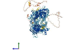 AlphaFold protein structure predicition of Mouse Recombinant Abcc5 Protein, UniprotID Q9R1X5