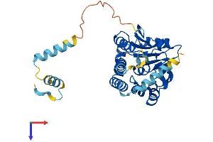 AlphaFold protein structure predicition of Mouse Recombinant Eci3 Protein, UniprotID Q78JN3 (Eci3 Protein (AA 1-317) (His tag))