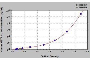 Typical standard curve (METRNL ELISA Kit)