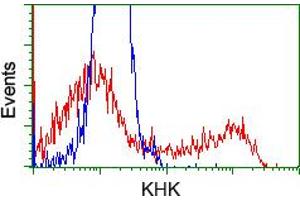 HEK293T cells transfected with either RC202424 overexpress plasmid (Red) or empty vector control plasmid (Blue) were immunostained by anti-KHK antibody (ABIN2453199), and then analyzed by flow cytometry.