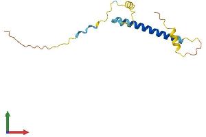 AlphaFold protein structure predicition of Mouse Recombinant Tsacc Protein, UniprotID Q9DA44