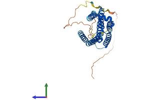 Protein Structure (PS) image for Fas Apoptotic Inhibitory Molecule 2 (FAIM2) (AA 1-317) protein (His tag) (ABIN7559426)