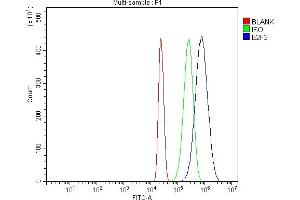 Flow Cytometry analysis of HL-60 cells using anti-E2F3 antibody (ABIN7601034).