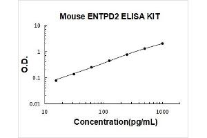 Typical Standard Curve