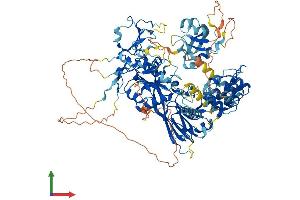 Protein Structure (PS) image for Diacylglycerol Kinase, zeta (DGKZ) (AA 1-929) protein (His tag) (ABIN7564262)