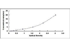 Typical standard curve (GLI1 ELISA Kit)