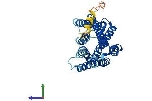 AlphaFold protein structure predicition of Mouse Recombinant Rgr Protein, UniprotID Q9Z2B3
