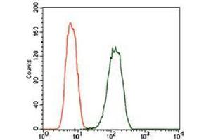 Flow cytometric analysis of A549 cells using PDE1B mouse mAb (green) and negative control (red). (PDE1B antibody  (AA 370-536))