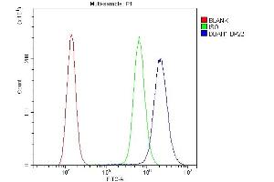 Flow Cytometry analysis of A431 cells using anti-DDAH1 antibody (ABIN4886560). (DDAH1 antibody  (C-Term))