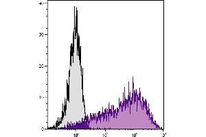 Sca-1/Ly-6A/E antibody  (APC)