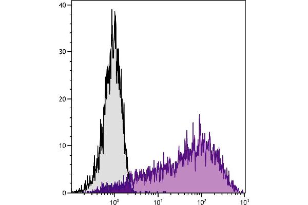 Sca-1/Ly-6A/E antibody  (APC)