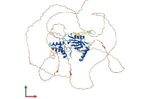AlphaFold protein structure predicition of Mouse Recombinant Carf Protein, UniprotID Q8VHI4