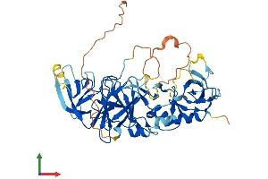 Protein Structure (PS) image for Pellino E3 Ubiquitin Protein Ligase Family Member 3 (PELI3) (AA 1-469) protein (His tag) (ABIN7550627)