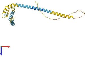 AlphaFold protein structure predicition of Human Recombinant REEP1 Protein, UniprotID Q9H902 (Receptor Accessory Protein 1 Protein (REEP1) (AA 1-201) (His tag))