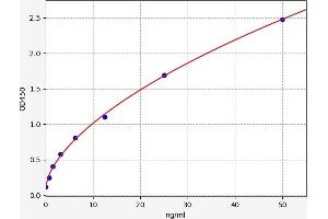 Typical standard curve (JAK3 ELISA Kit)