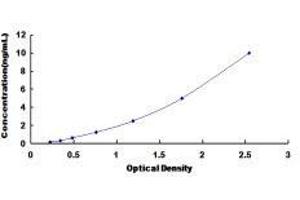 Fas Apoptotic Inhibitory Molecule 3 (FAIM3) ELISA Kit