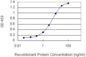 Detection limit for recombinant GST tagged B3GALT6 is 0. (B3GALT6 antibody  (AA 229-329))