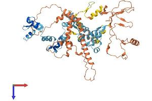 AlphaFold protein structure predicition of Human Recombinant ZNF195 Protein, UniprotID O14628 (ZNF195 Protein (AA 1-629) (His tag))