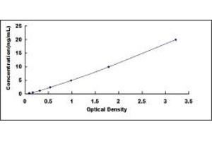 Typical standard curve (HNRNPK ELISA Kit)