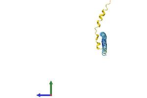 AlphaFold protein structure predicition of Mouse Recombinant Sncg Protein, UniprotID Q9Z0F7 (SNCG Protein (AA 1-123) (His tag))