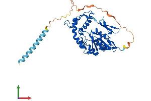 AlphaFold protein structure predicition of Mouse Recombinant Hs3st5 Protein, UniprotID Q8BSL4